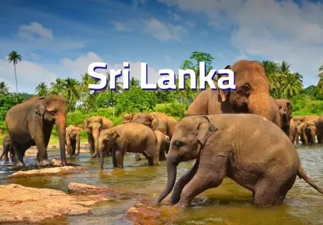 Sri Lanka