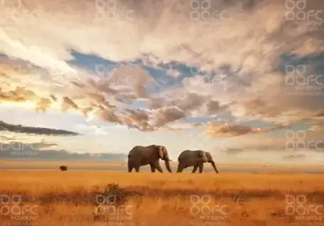 Wonders of Kenya