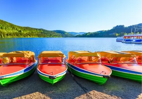 Best of Swiss & Paris