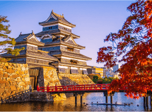 Japanese Odyssey