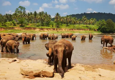 Scenic Sri Lanka