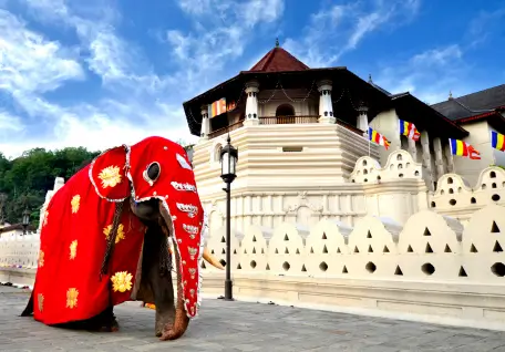 Amazing Sri Lanka