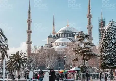 Turkish Delights