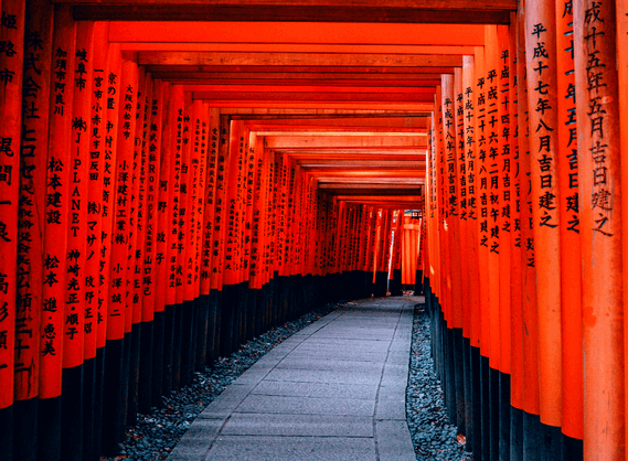 Discover Japan