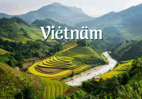 Vietnam - Ladies Special