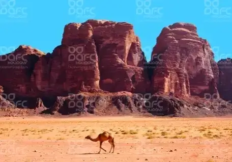 Amazing Jordan