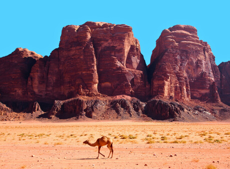 Jordan