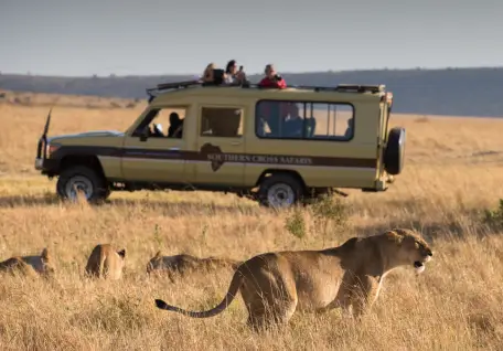 Wonders of Kenya