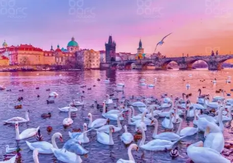 Best of Central Europe and Swiss