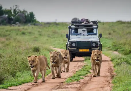 Wonders of Kenya