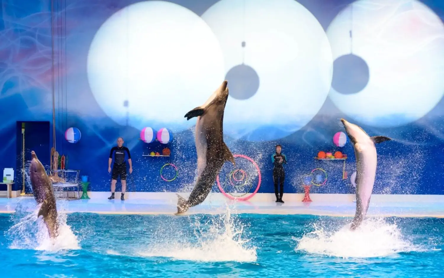 Dubai Dolphinarium