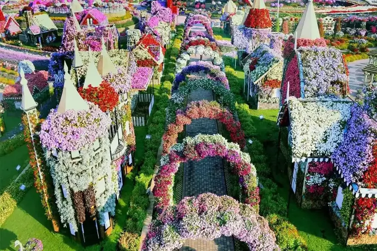 Dubai Miracle Garden