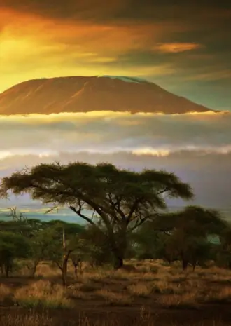 Kenya Travel Guide Before You Go