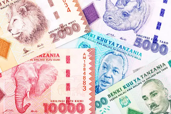 Tanzania Currency