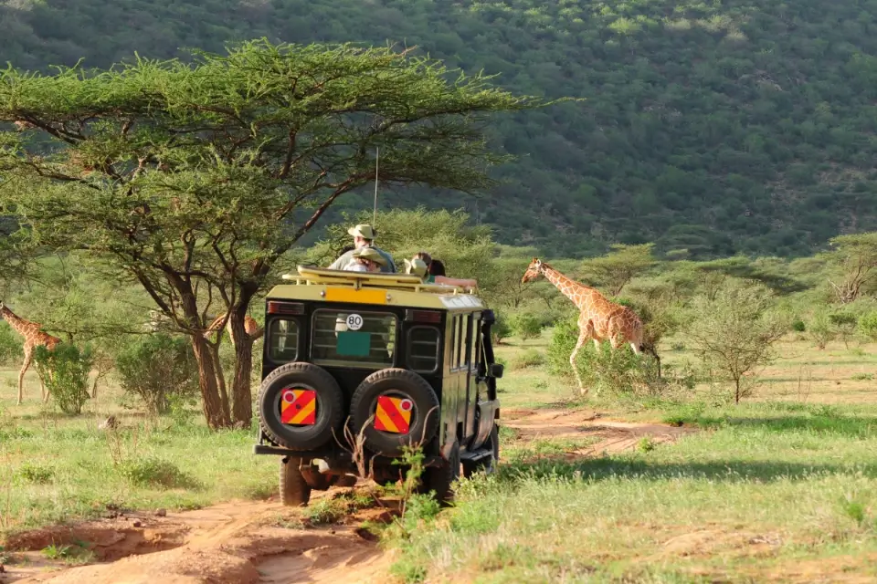wildlife scenic