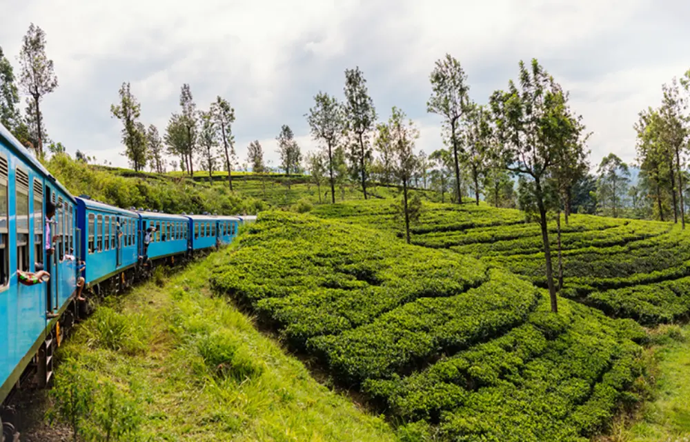 trains are impossibly scenic