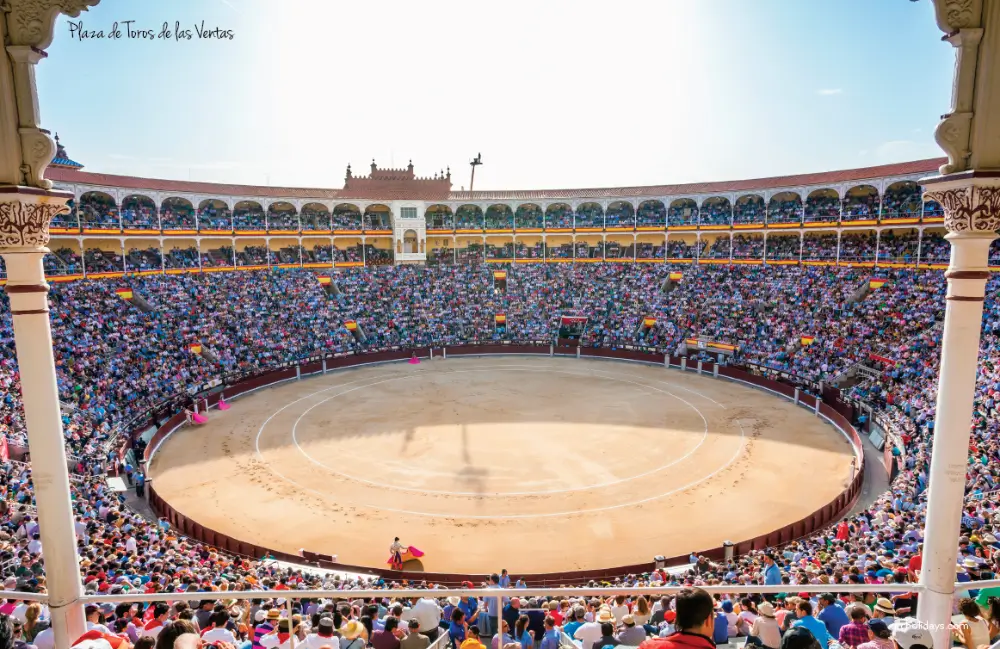 tradition bullfighting