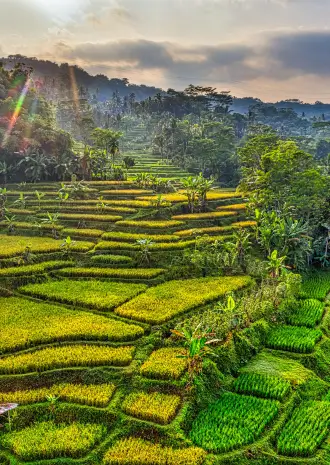 Top 8 Things To Do In Bali For First Time Travellers