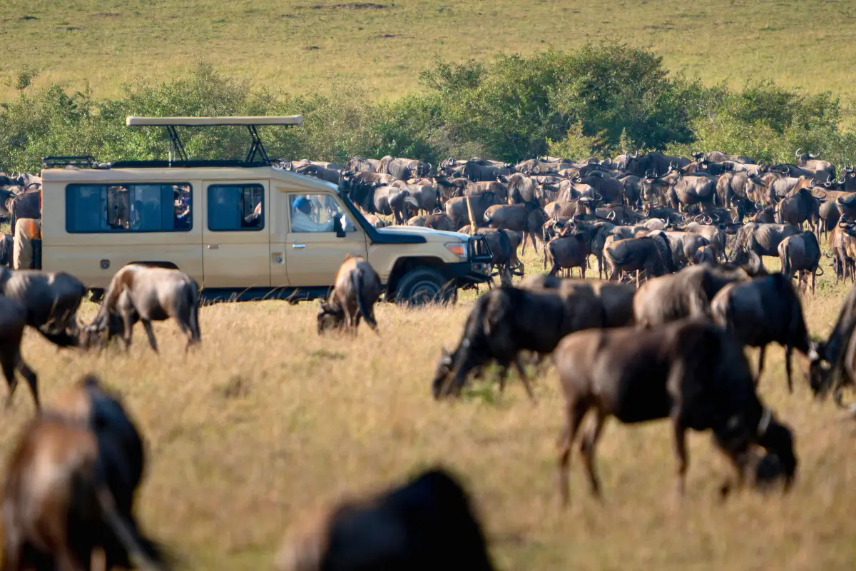 The Great Migration