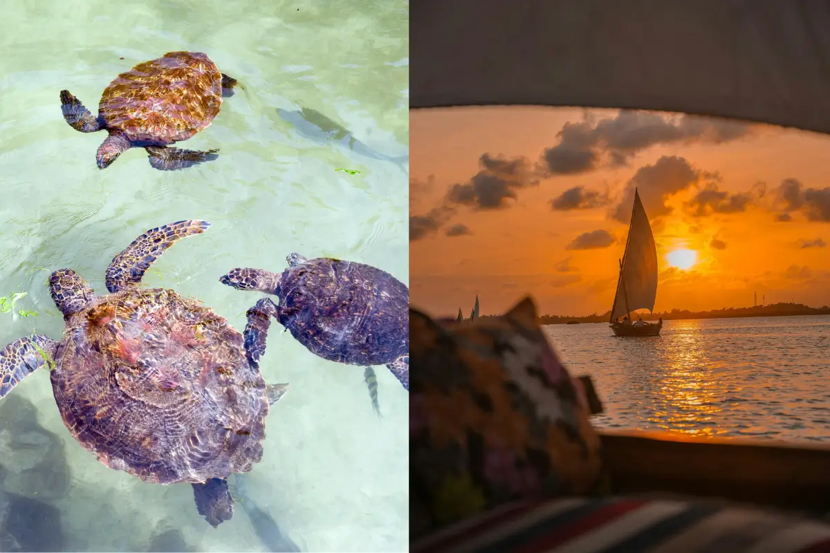 Zanzibar