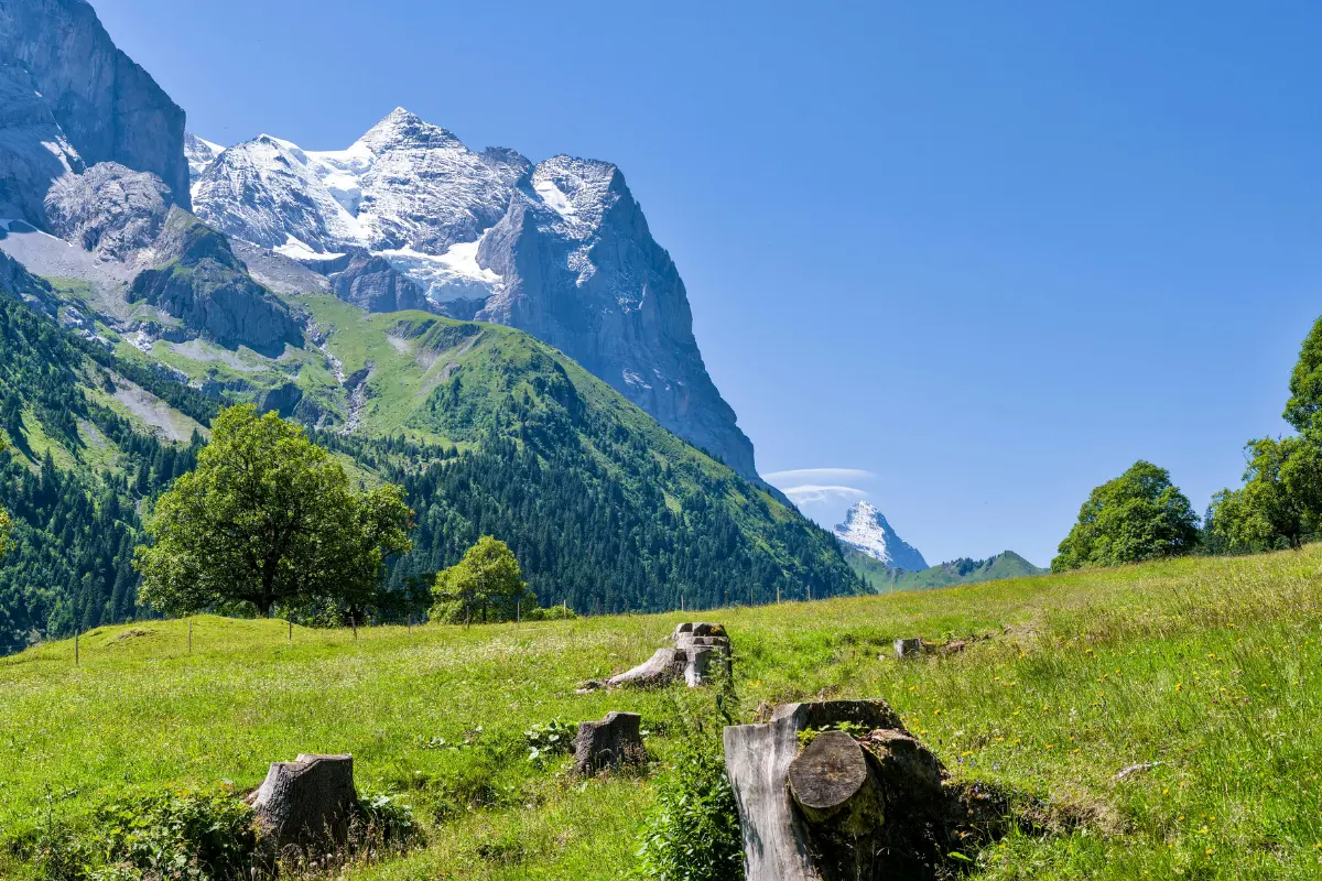 Scenic Alpine Landscape in Swiss Alps
