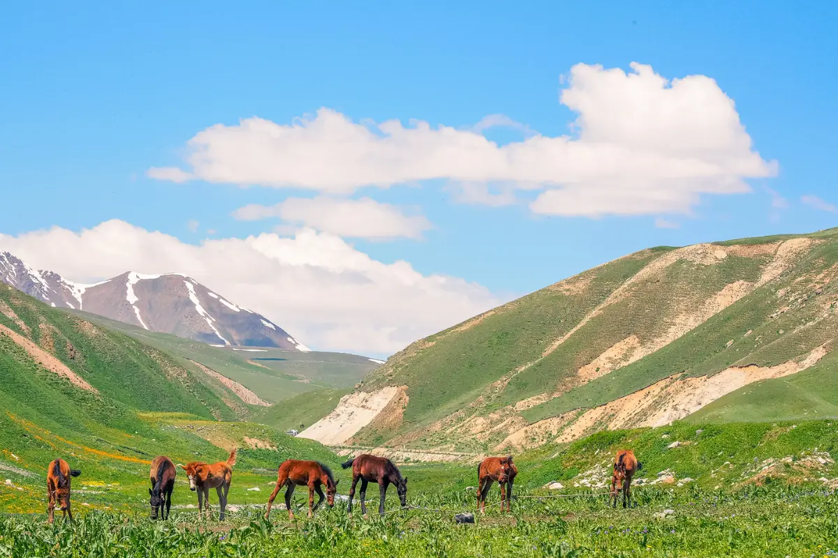 Sightseeing & Adventure Tips