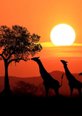 South Africa Travel Guide Before You Go