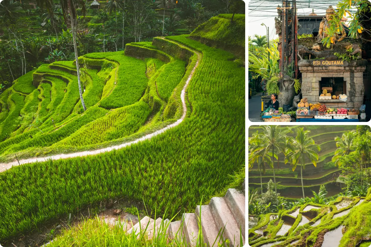 1. Ubud – Culture, Nature & Spirituality