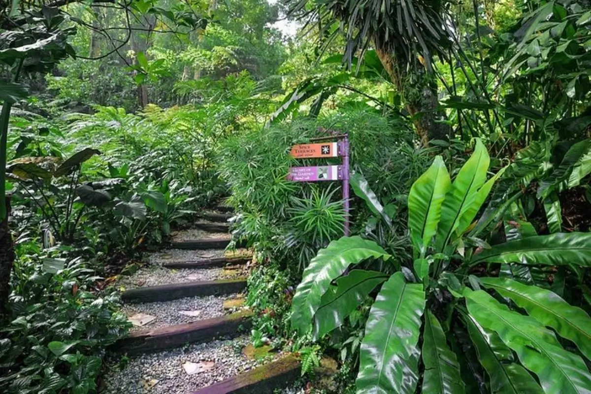 Mawanella Spice Garden