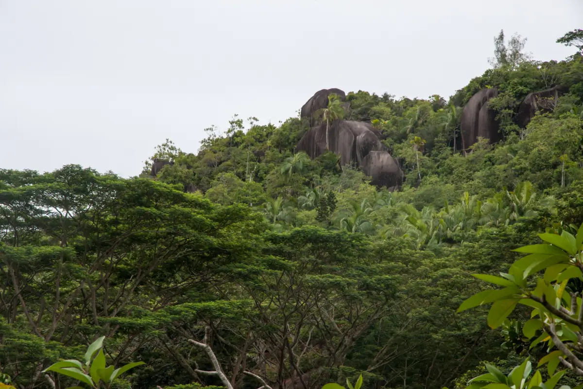 Spice Garden (Le Jardin du Roi)