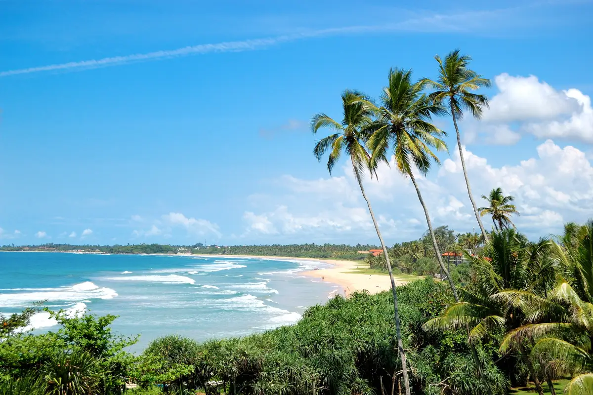 Insider Guide To Eating In Sri Lanka