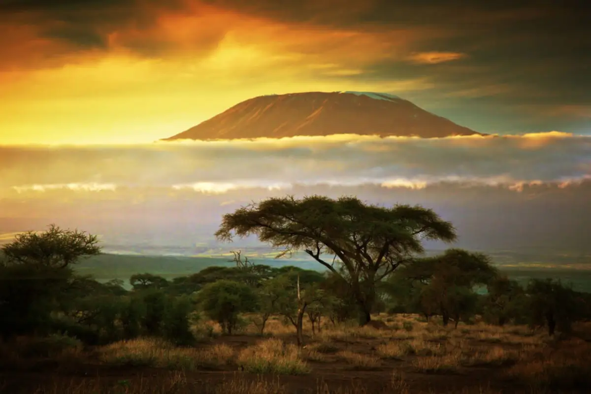 Kenya Travel Guide Before You Go