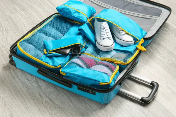 Multi-Compartment Travel Bags