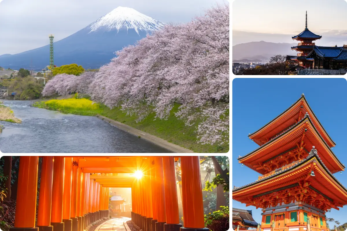 Sightseeing & Adventure Tips