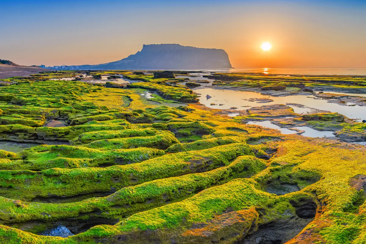 Why Is South Korea Becoming a Popular Honeymoon Destination