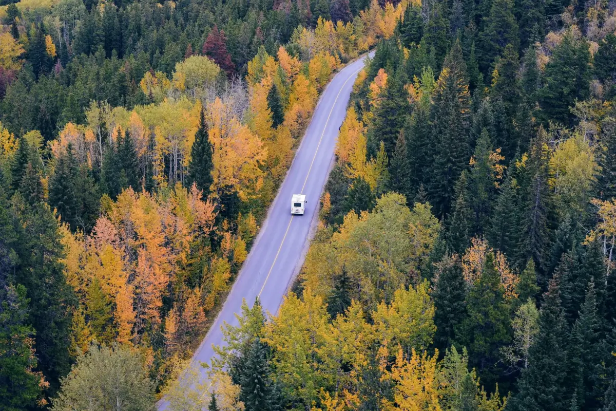 Solo Travel 