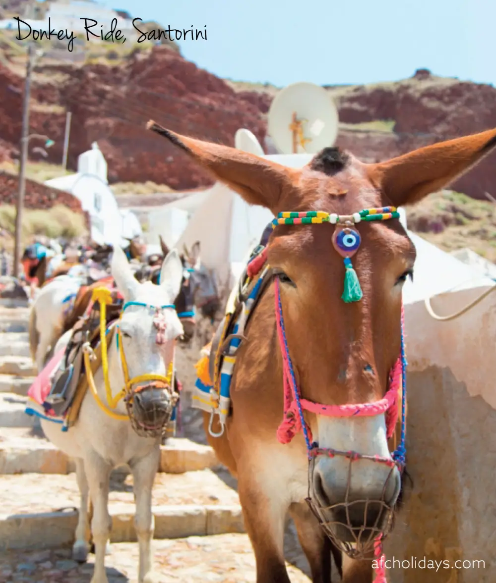 Donkey Ride Santorini