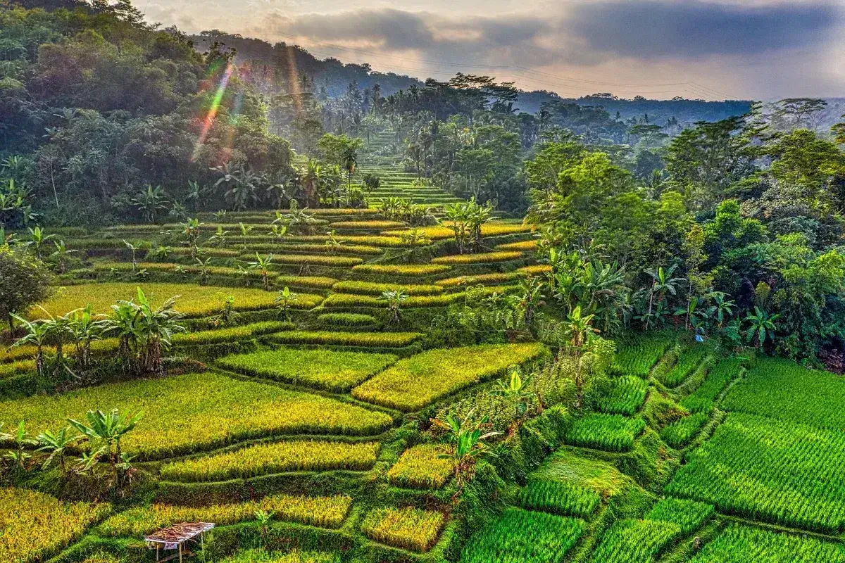 Top 8 Things To Do In Bali For First Time Travellers