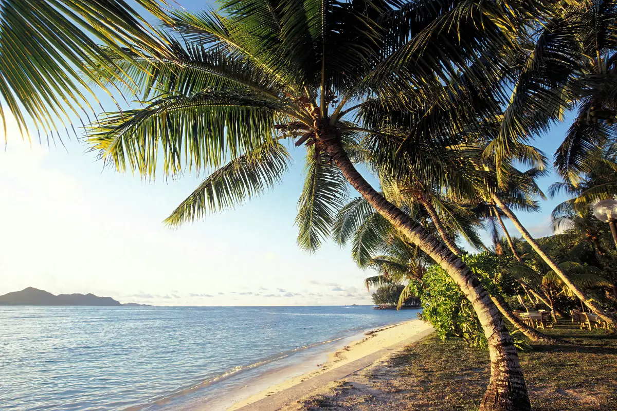 Seychelles Travel Checklist