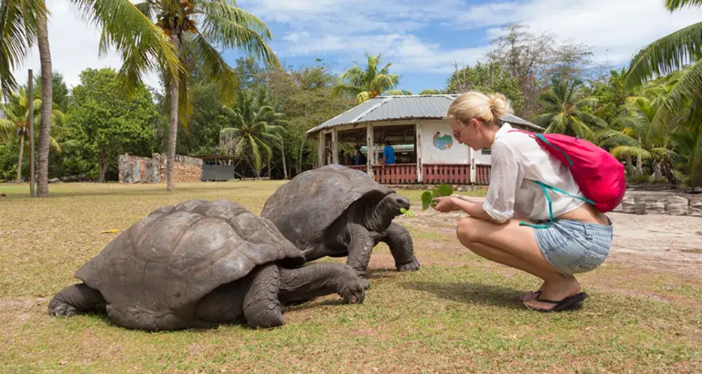 Unique Wildlife