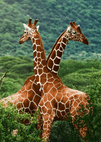 10 Must-visit Gems in Africa