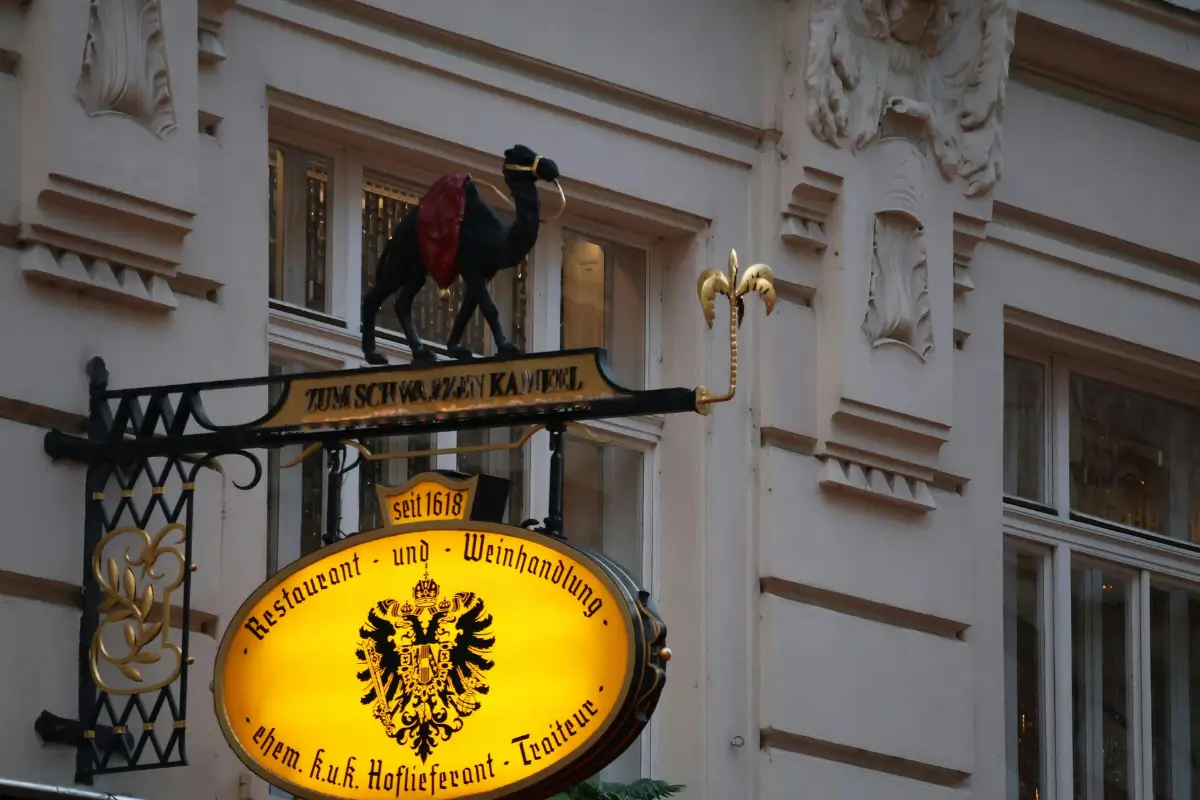 Vienna Bites: Must-Try Dishes in Austria