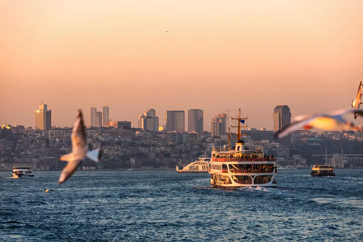 Bosphorus Dinner Cruise – Istanbul