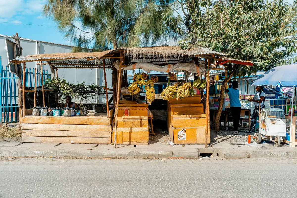Samosas & Street Snacks