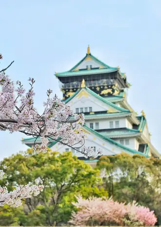 5 Unique Places to Visit in Japan 