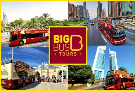 Big Bus Dubai Discover