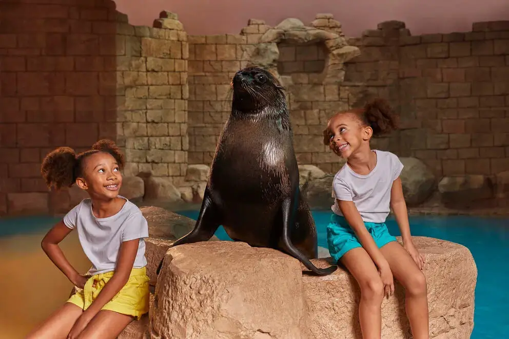 Sea Lion Meet & Greet