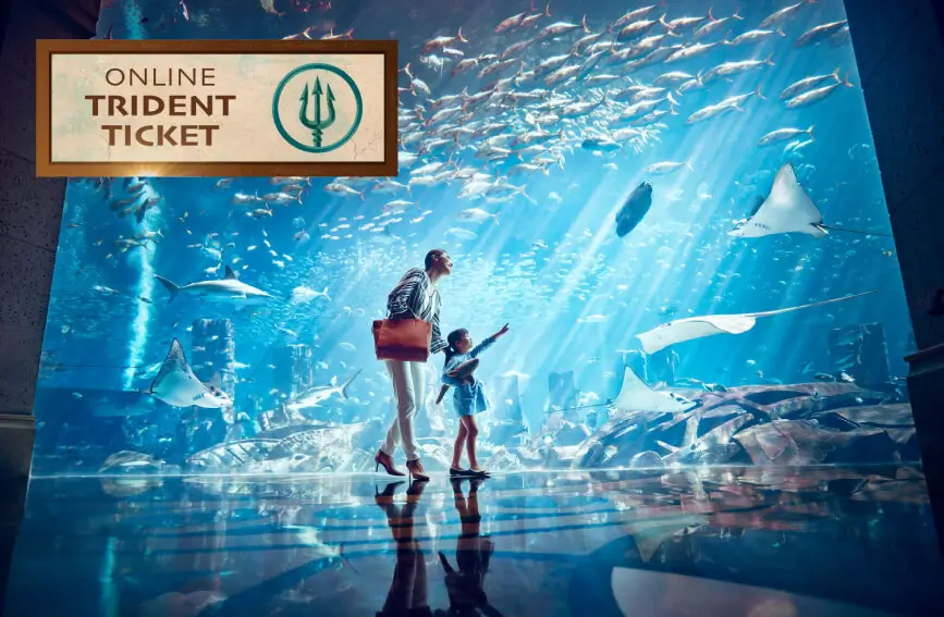 Lost Chamber (DATED)