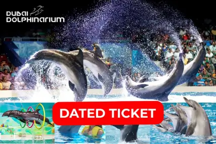 Dolphin Show Dubai Dolphinarium (DATED)