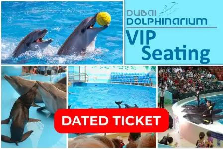 Dolphin Vip Show (DATED)